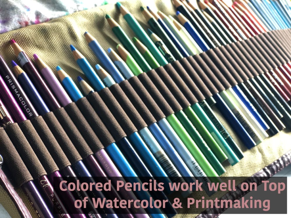 Watercolor and Colored Pencils - Mixing Your Media - Belinda Del Pesco